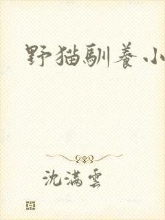 野猫驯养小说