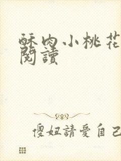 酥肉小桃花全文阅读