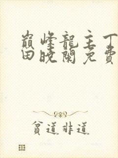 巅峰龙主丁长顺田晓兰免费阅读封面