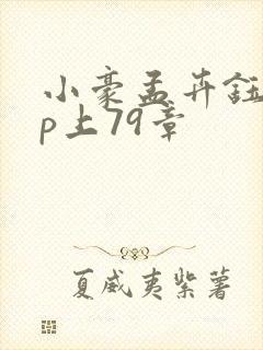 小豪孟卉钰慧三p上79章