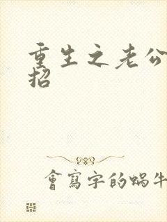 重生之老公请接招