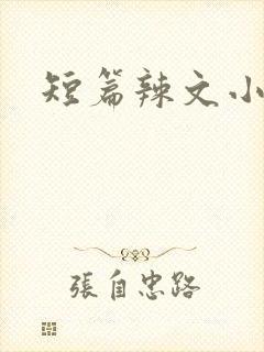 短篇辣文小说