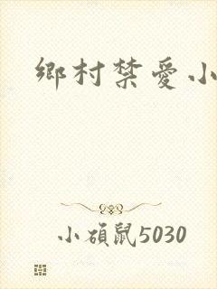 乡村禁爱小说