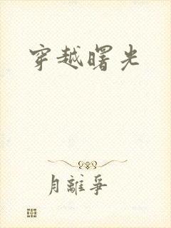 穿越曙光封面