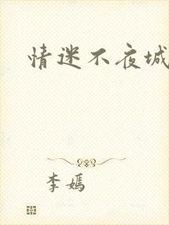 情迷不夜城