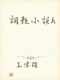 调教小说h封面