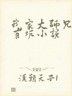 我家大师兄脑子有坑小说封面