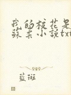我的校花是福姬苏柔小说txt