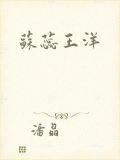 苏蕊王洋