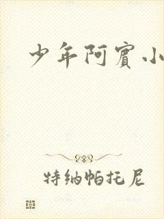 少年阿宾小说