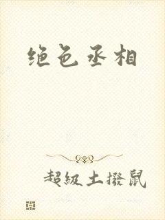 绝色丞相