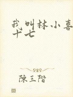 我叫林小喜今年十七