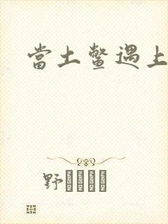 当土鳖遇上海龟