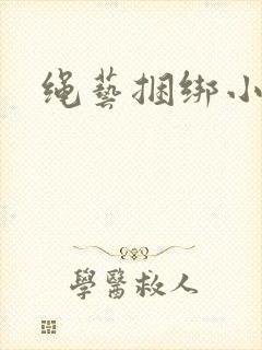 绳艺捆绑小说封面