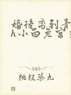 婚后脔到青梅哭h小白兔宫交h