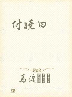 付晓田