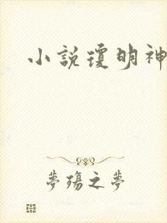 小说琼明神女录封面