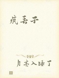 疯丢子封面