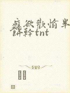 瘾欲欢愉半块小饼干tnt