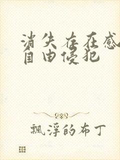 消失存在感消失自由侵犯