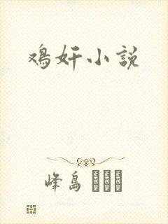 鸡奸小说