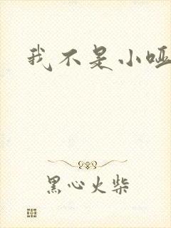 我不是小哑巴封面