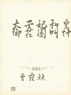 太子妃和皇帝在御花园叫什么小说