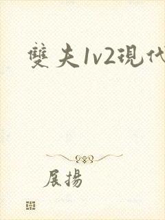 双夫1v2现代