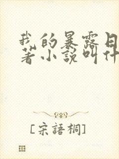 我的暴露日记原著小说叫什么