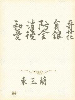 和消防员哥哥恋爱后金银花趣笔阁封面