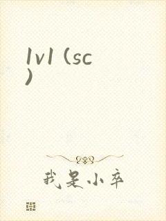 1v1 (sc)