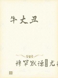 牛大丑封面