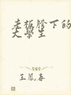 老板胯下的秘书大学生封面
