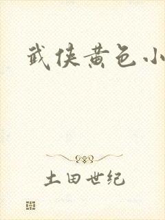 武侠黄色小说