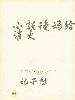 小说后妈给我消消火