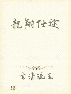 龙翔仕途