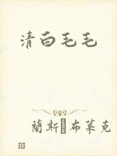清白毛毛