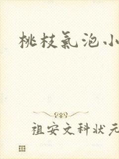 桃枝气泡小说