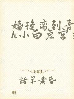 婚后脔到青梅哭h小白兔宫交h
