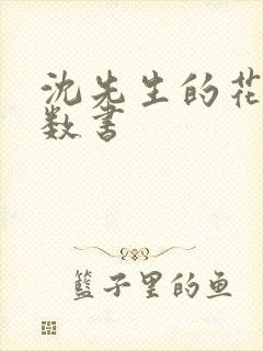 沈先生的花式调数书