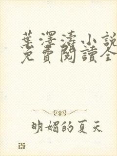 叶泽涛小说全文免费阅读全文