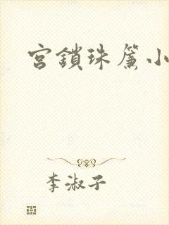 宫锁珠帘小说封面