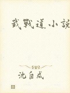武战道小说