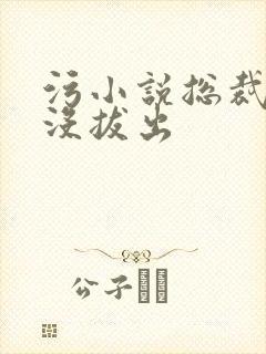 污小说总裁整夜没拔出