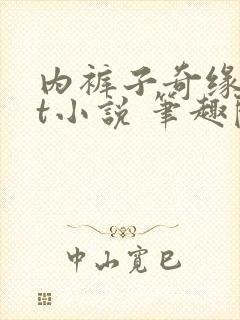 内裤子奇缘txt小说 笔趣阁