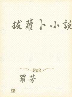 拔萝卜小说