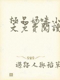 极品妈咪小说全文免费阅读