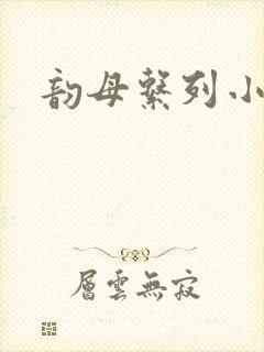 韵母系列小说