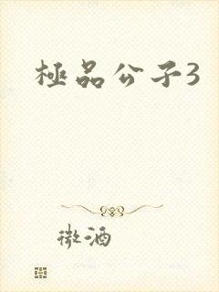 极品公子3