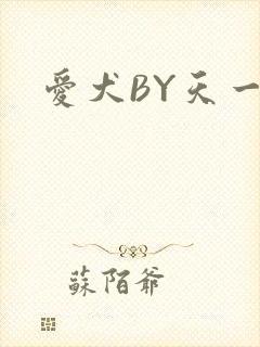 爱犬BY天一封面